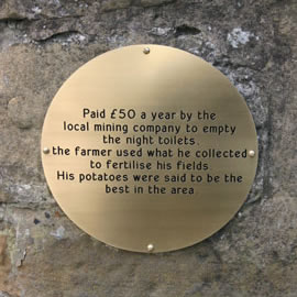 potatoes